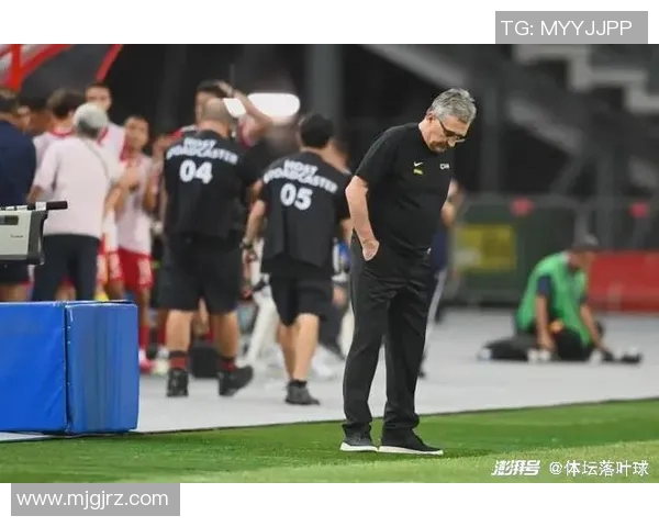 足球明星年收入揭秘揭示他们的财富来源与生活方式